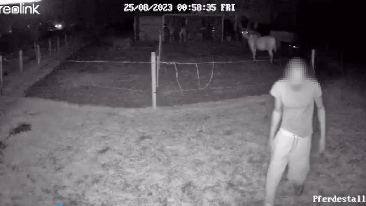Erschreckende Tat in Maschen/Seevetal - Ein junger Mann hat sich in der Nacht zum Freitag gegen 1 Uhr an einem Pony in Maschen sexuell vergangen. Videoaufnahmen der Stallbesitzerin zeigen den Täter, der seine Tat im aller Ruhe ausführte. Hamburg, der 26.08.2023