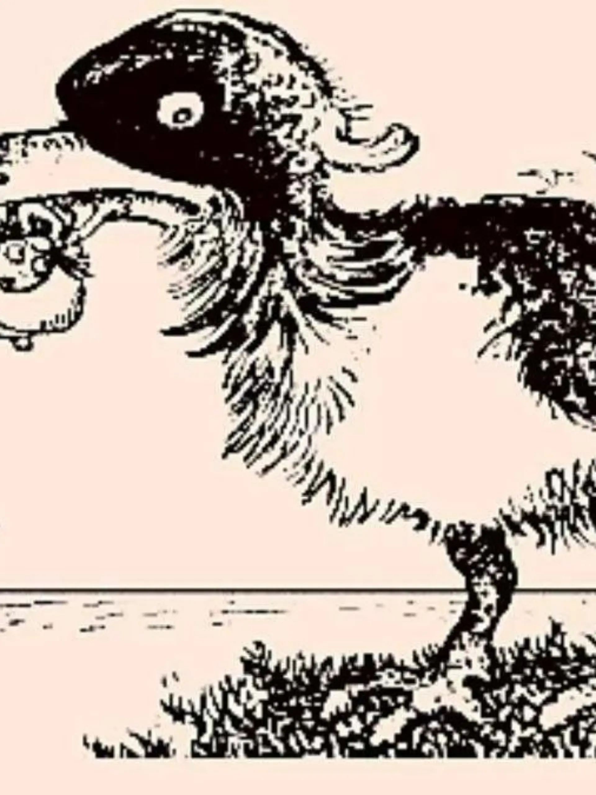 Optische Täuschung riesiger Vogel
