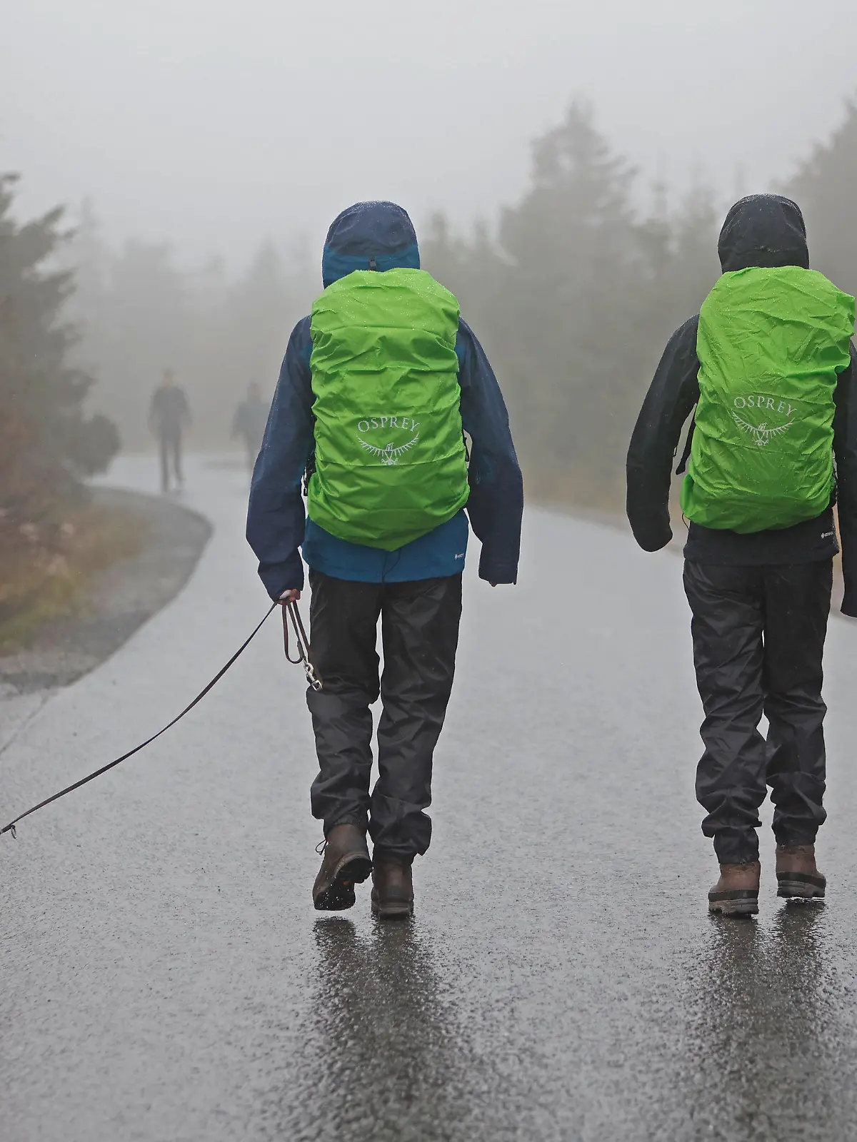 10.09.2022, Sachsen-Anhalt, Schierke: Wanderer sind bei Regenwetter auf dem Brocken unterwegs. Der Brocken ist seit Freitagnachmittag wieder für Besucher freigegeben. Die Harzer Schmalspurbahn will erst ab Montag wieder ihre Züge zum Brocken fahren lassen. Das unbeständige regnerische Wetter lockte nur wenige Besucher auf den Harzgipfel. Foto: Matthias Bein/dpa +++ dpa-Bildfunk +++