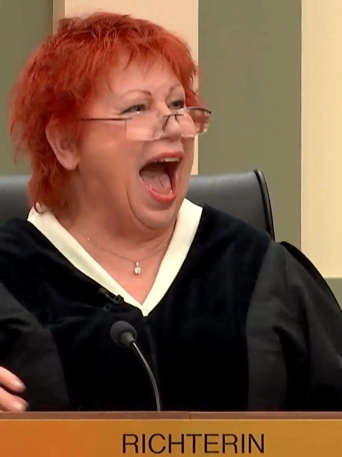 Spaß bei der Arbeit: Richterin Barbara Salesch hat bei "Das Strafgericht" auch mal was zu Lachen