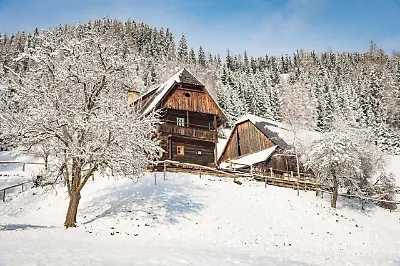 Urlaub auf der Alm "Deluxe"