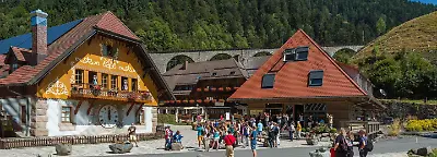 Vergnüglich in Breitnau im Schwarzwald