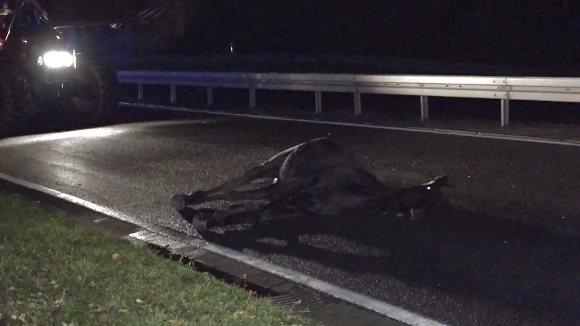 Für die Tiere kommt jede Hilfe zu spät, die beiden Pferde sterben noch am Unfallort.