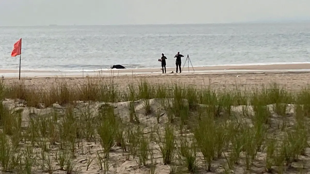New York Police investigators examine a stretch of beach at Coney Island where three children were found dead in the surf, Monday, Sept. 12, 2022, in New York. Authorities believe the children may have been drowned by their mother. (AP Photo/Joseph Frederick)