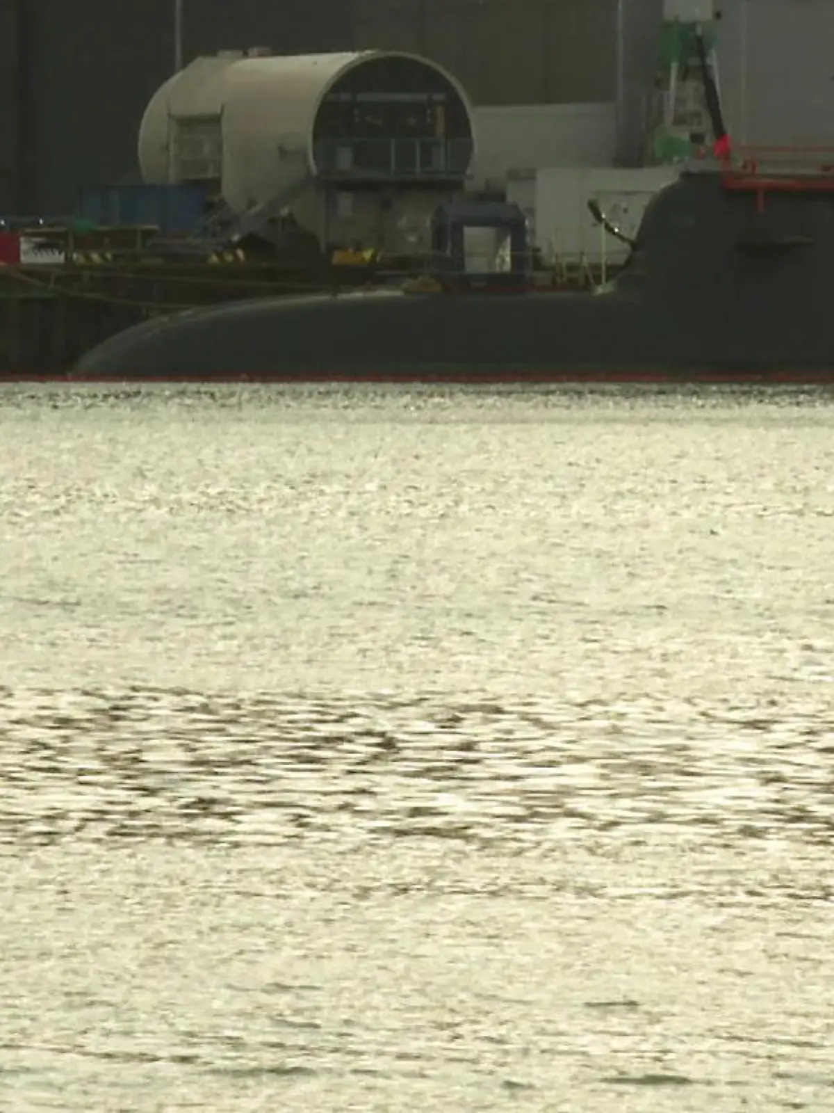 Der Delfin taucht am Freitagvormittag (24. November) immer wieder kurz in der Kieler Förde auf.