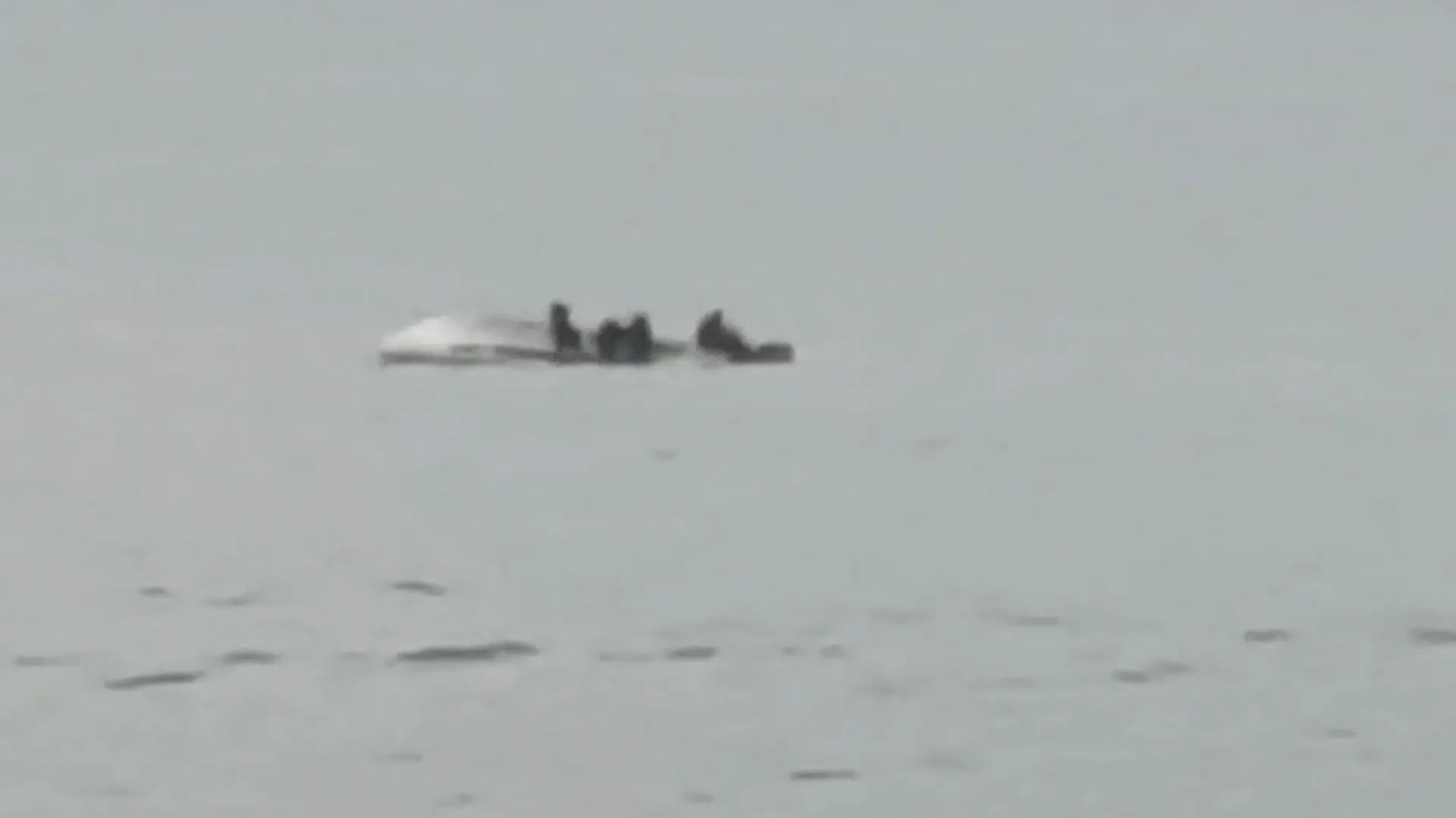 10.09.2022, Neuseeland, Kaikoura: Auf diesem Bild aus einem Video klammern sich Überlebende an den umgedrehten Rumpf eines Bootes, das am Samstag, 10. September 2022 vor der Küste von Kaikoura, Neuseeland, gekentert ist. Das Boot sei mit einem Wal zusammengestoßen und gekentert. Foto: Str/STR/dpa - ACHTUNG: Nur zur redaktionellen Verwendung im Zusammenhang mit einer Berichterstattung über dieses Bootsunglück und nur mit vollständiger Nennung des vorstehenden Credits +++ dpa-Bildfunk +++