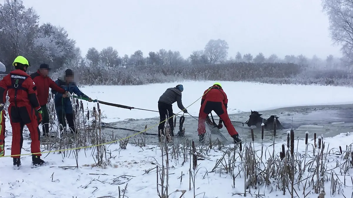 Die Einsatzkräfte schneiden den Pferden einen Weg aus dem Eis.