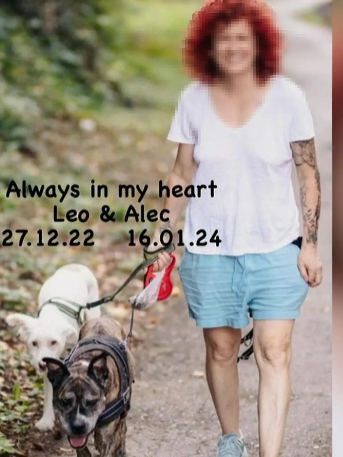 Lucy Diakovksa trauert um ihren Hund