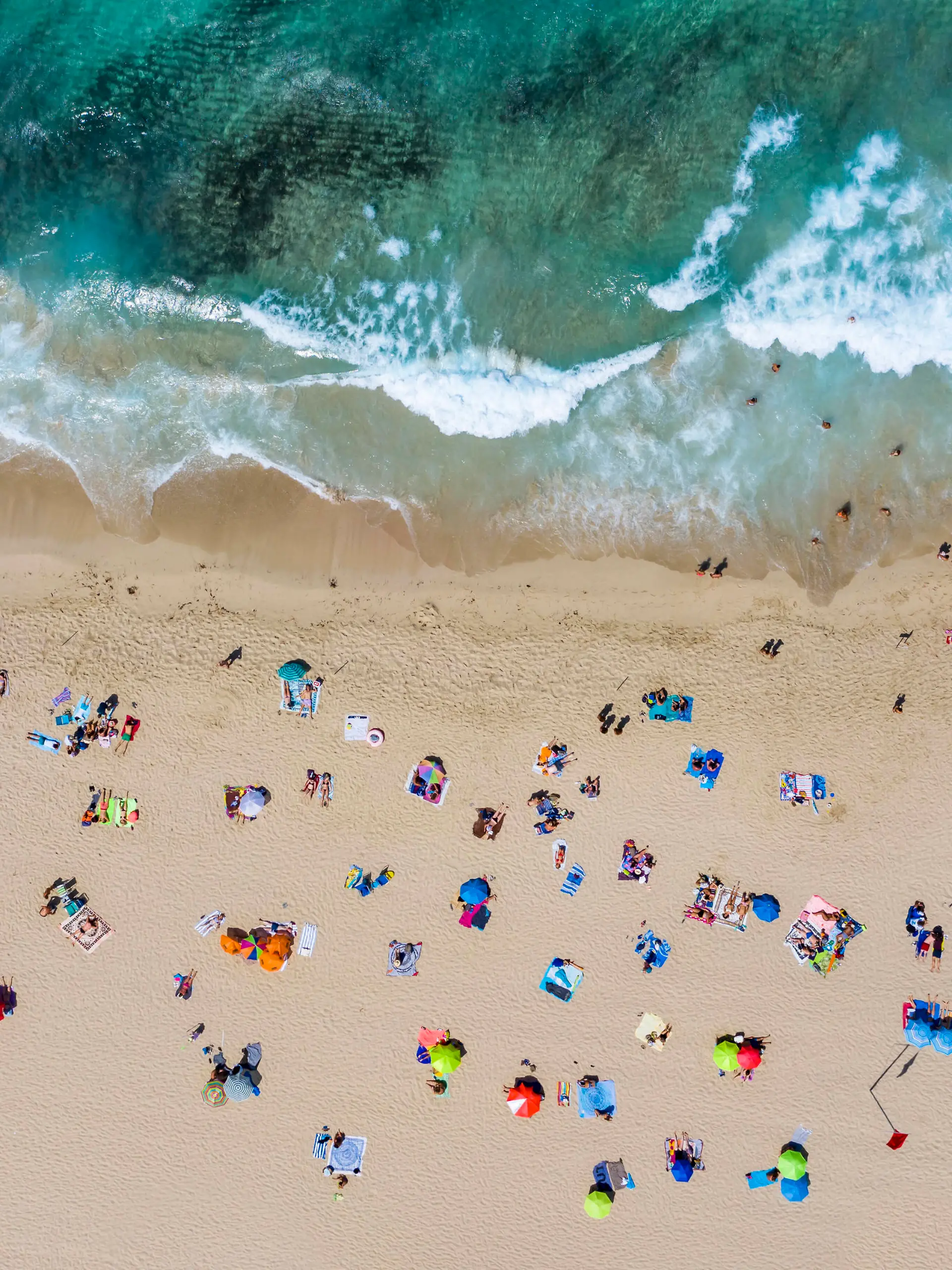  Spain, Mallorca, Cala Mesquida, Aerial view of people relaxing on Cala Agulla beach in summer AMF08433