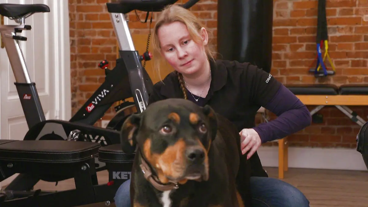 Rottweiler Mischling Sam in Behandlung bei Tier-Chiropraktikerin Jasmin Hochfeld.