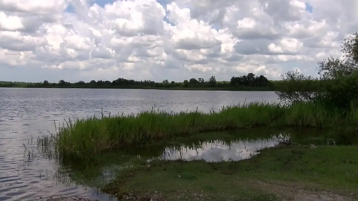 Hier am Lake Manatee wurde Eric Merda vom Alligator attackiert.