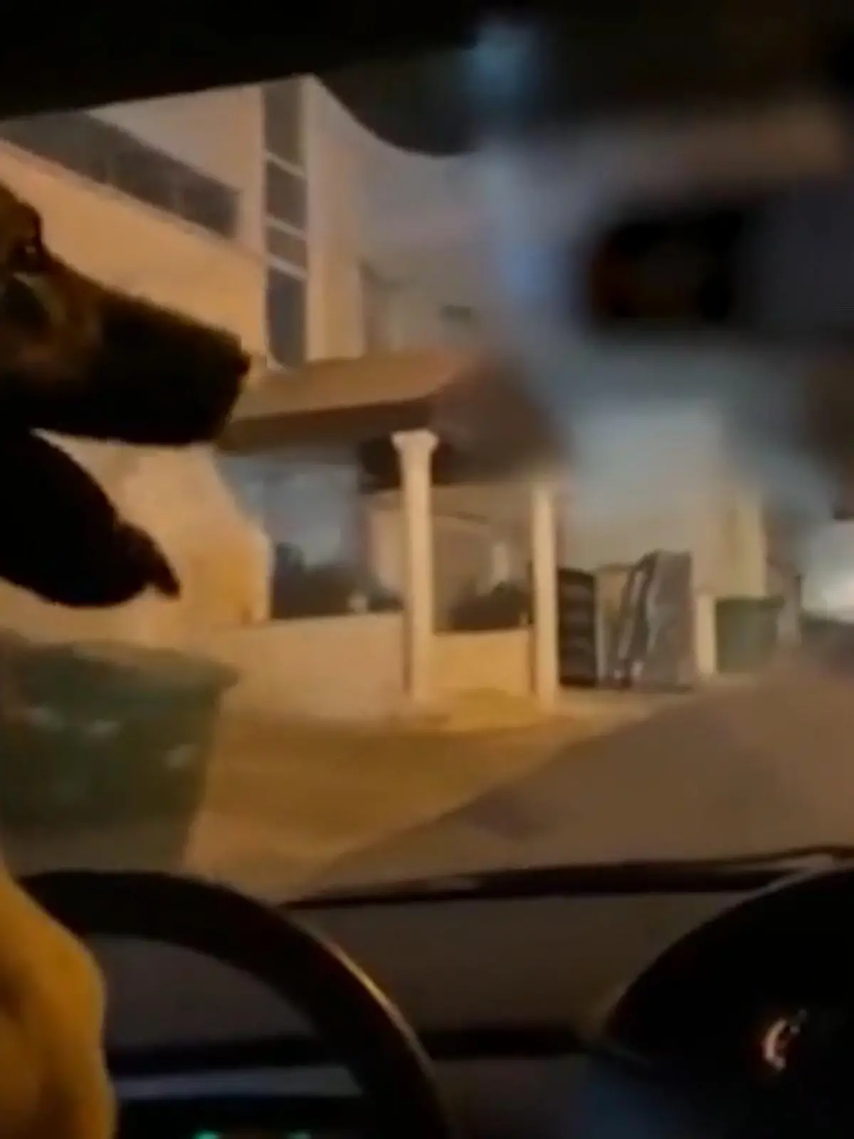 Was als Scherz gemeint war, endet für einen Mann aus Israel nun mit einer Anzeige. Er ließ seinen Hund kurzzeitig hinters Steuer und Auto fahren. Die Polizei fand das Alles aber gar nicht witzig und verhaftete den Halter kurzerhand.