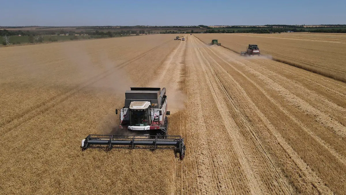 18.07.2022, Russland, Semikarakorsk: Erntemaschinen ernten Weizen im Bezirk Semikarakorskij. Russland ist der weltweit größte Weizenexporteur, auf den fast ein Fünftel der globalen Lieferungen entfällt. In diesem Jahr wird mit einer der besten Ernten aller Zeiten gerechnet. Nach Angaben der Weltbank ist die Landwirtschaft einer der wichtigsten Wirtschaftszweige Russlands und trägt rund 4 % zum BIP bei. Foto: Uncredited/AP/dpa +++ dpa-Bildfunk +++