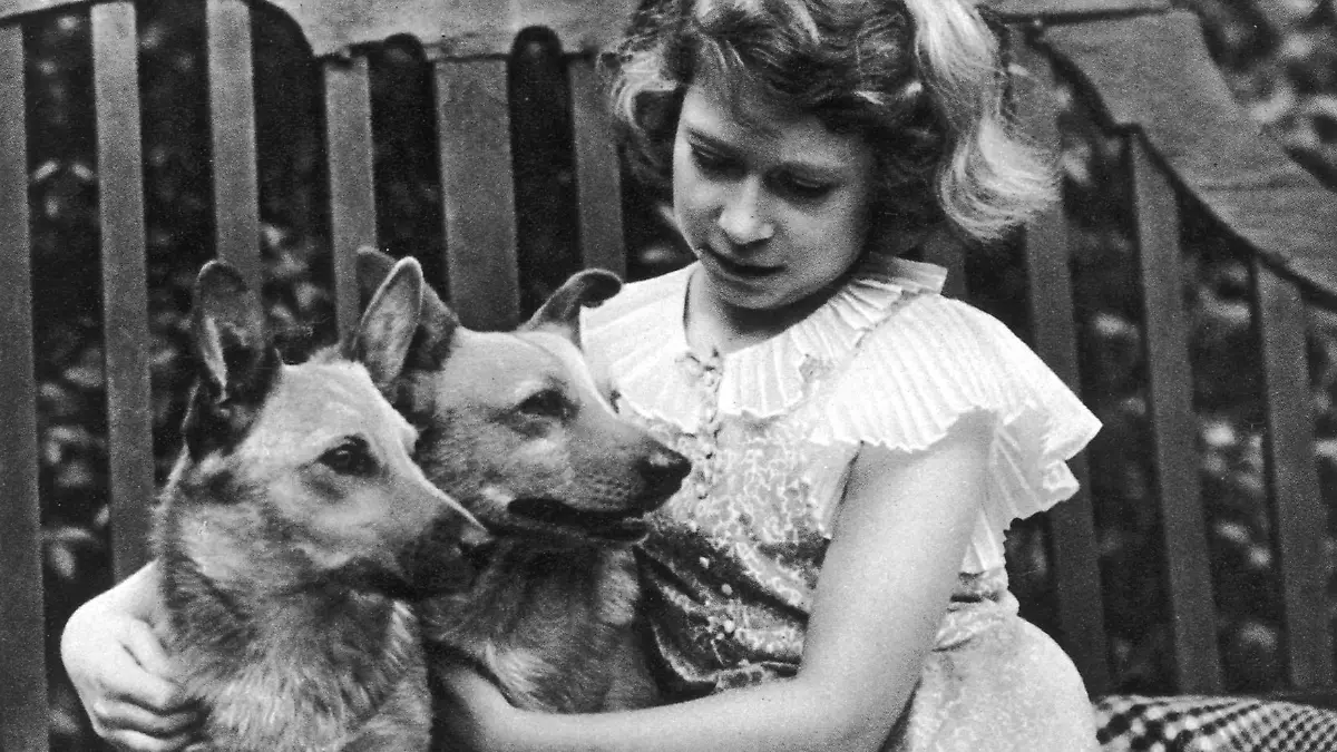 Princess Elizabeth of York (now Queen Elizabeth II) taken at the York's London residence, 145, Piccadilly in 1936 with two of her corgis. Date: 1936 (Mary Evans Picture Library) || Nur für redaktionelle Verwendung