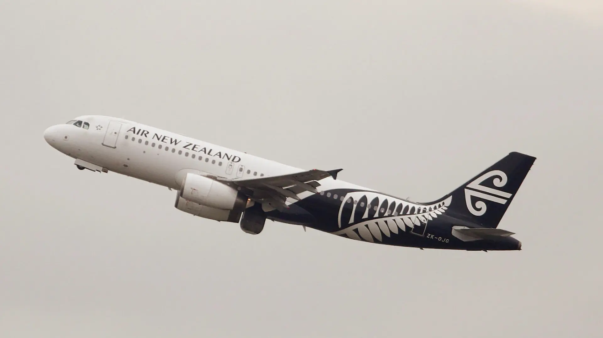 FILE PHOTO: An Air New Zealand Airbus A320-200 plane takes off from Kingsford Smith International Airport in Sydney, Australia, February 22, 2018. REUTERS/Daniel Munoz/File Photo