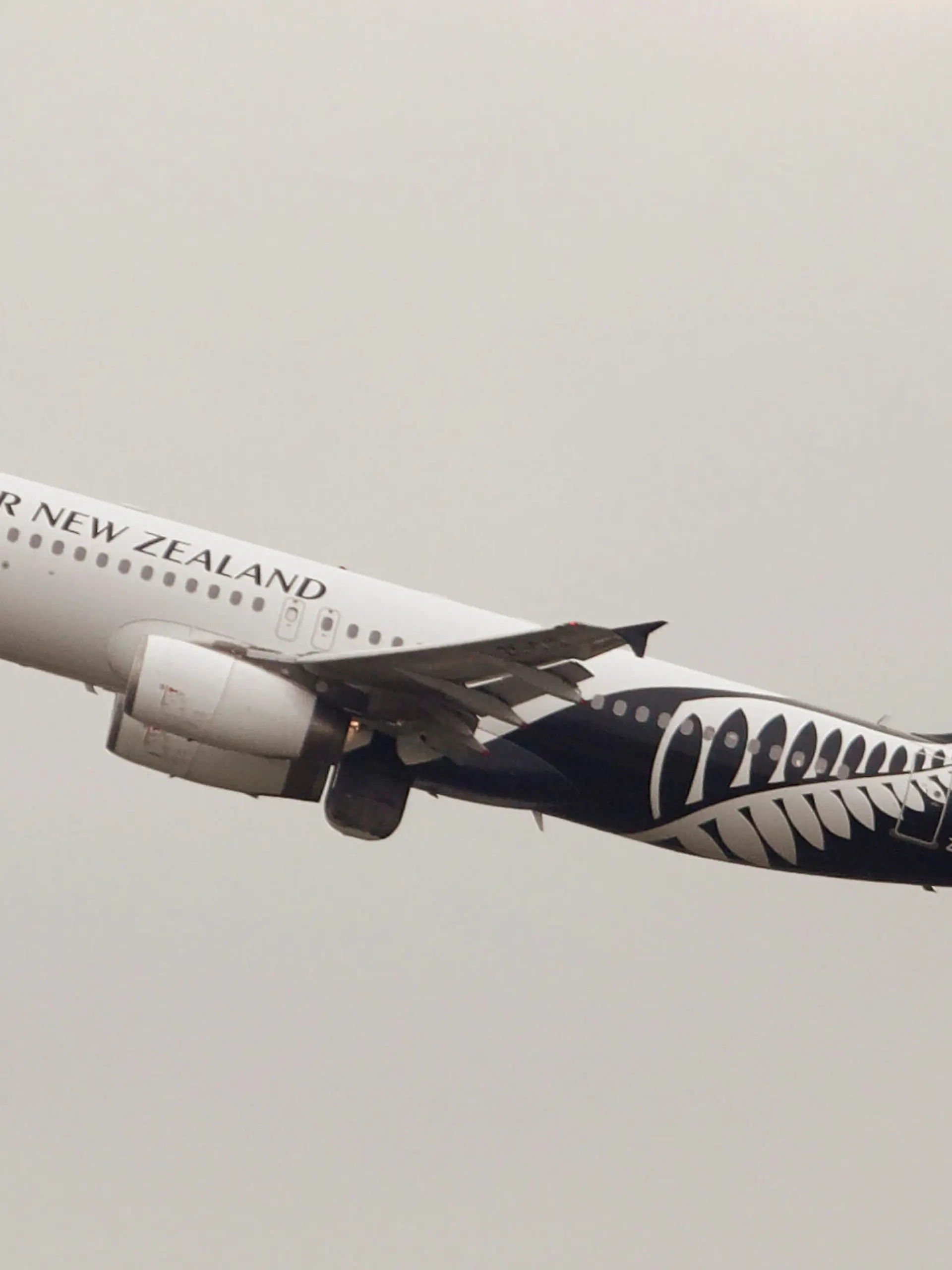 FILE PHOTO: An Air New Zealand Airbus A320-200 plane takes off from Kingsford Smith International Airport in Sydney, Australia, February 22, 2018. REUTERS/Daniel Munoz/File Photo