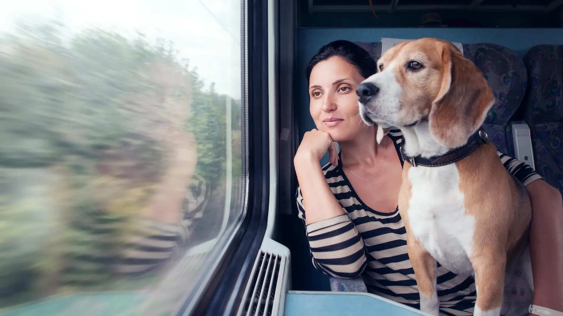 Woman travel with dog into the train wagon