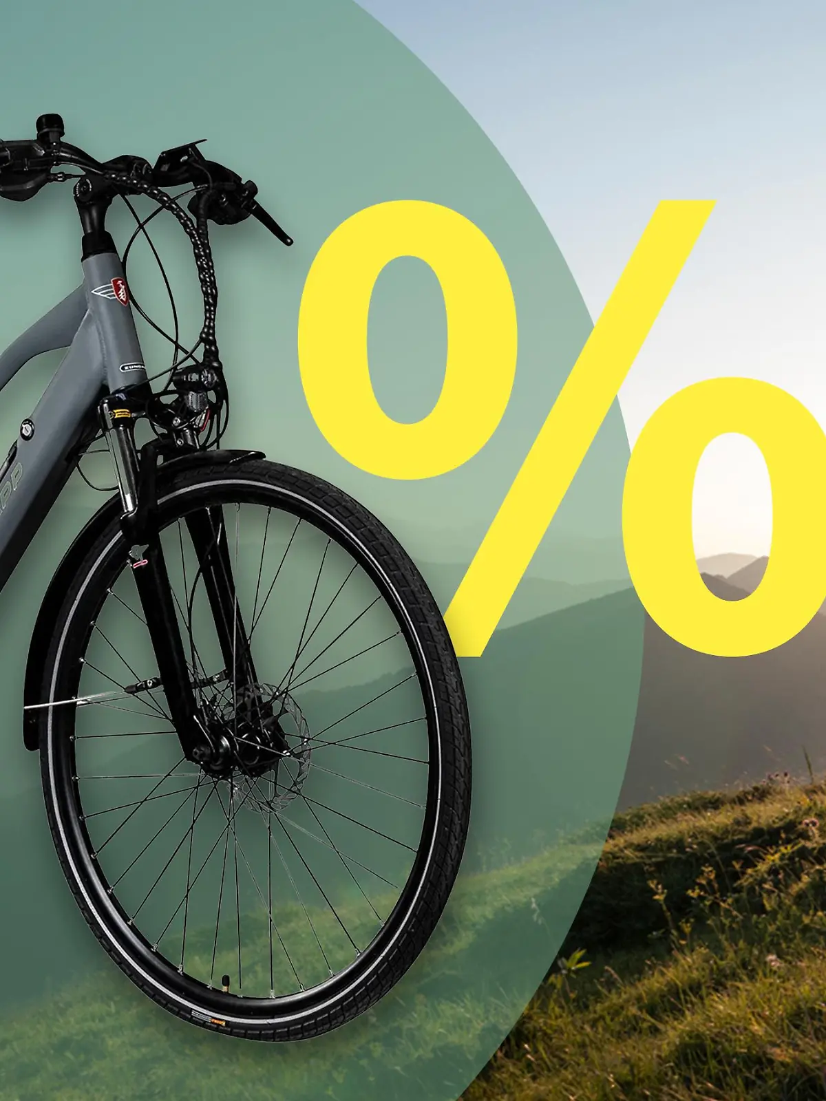 Lidl Angebot Trekking-E-Bike