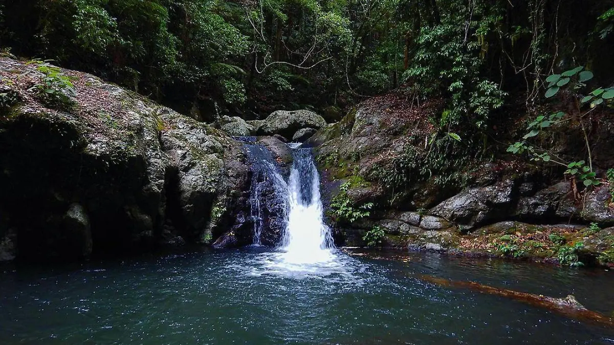 An diesem Wasserfall Lamington-Nationalpark in Australien stürzte die Frau in den Tod.