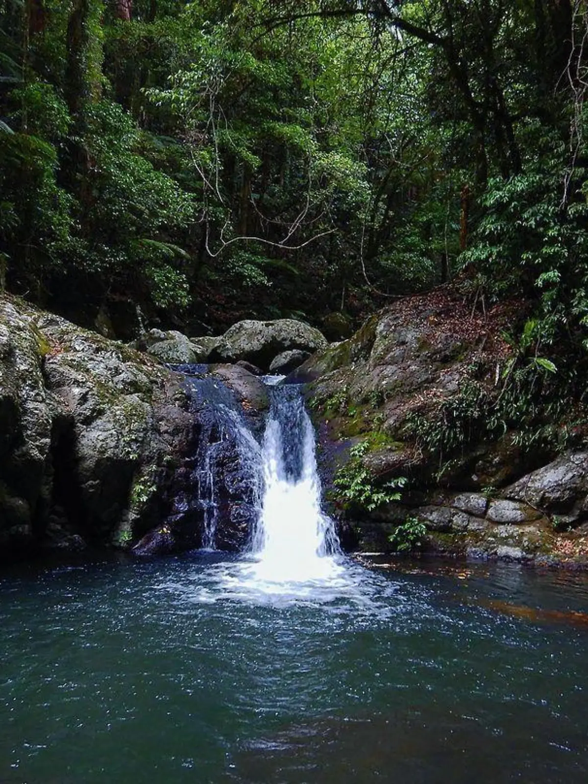 An diesem Wasserfall Lamington-Nationalpark in Australien stürzte die Frau in den Tod.