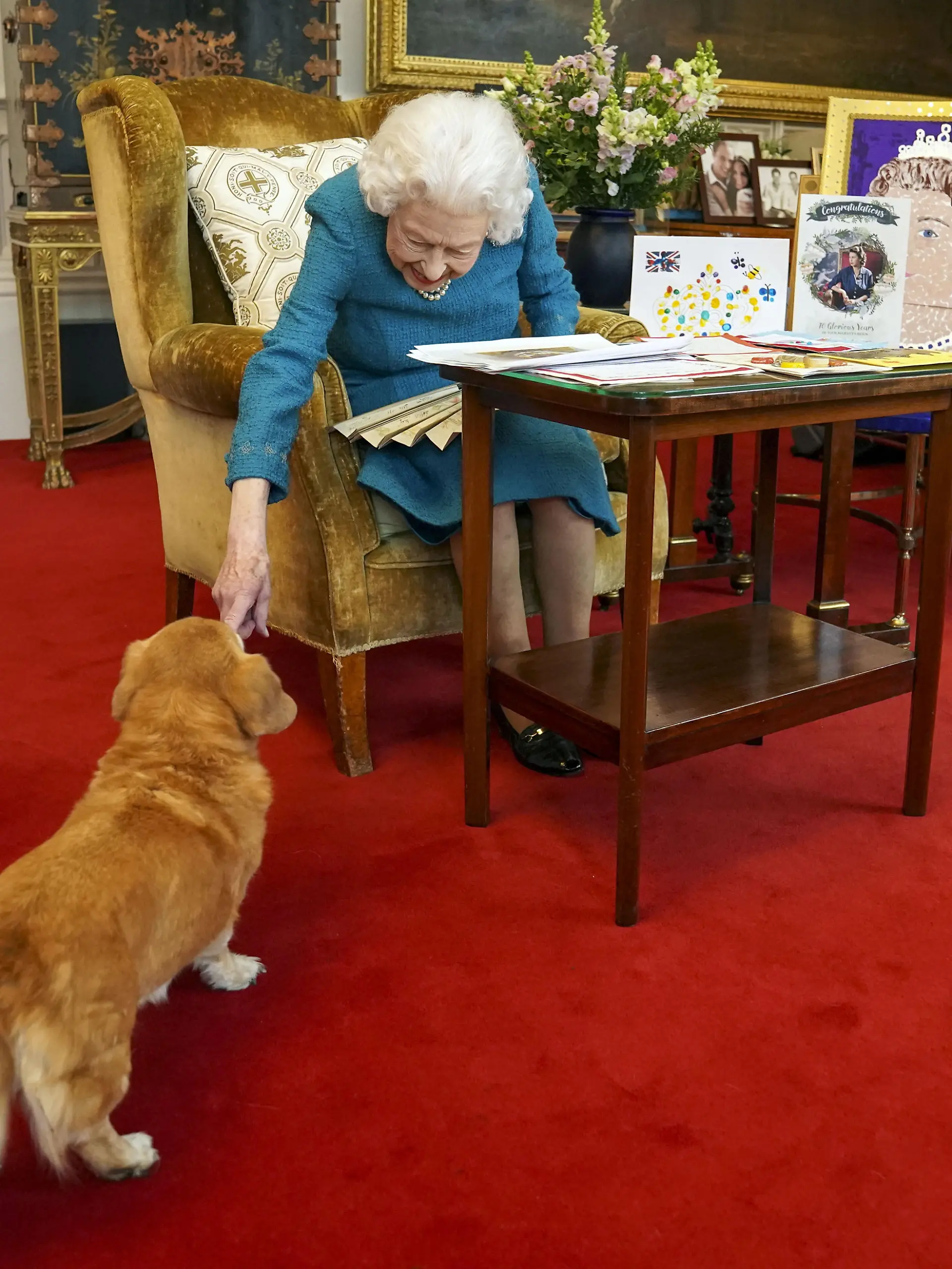 Queen Elizabeth II death. File photo dated 4/2/2022 of Queen Elizabeth II being joined by one of her dogs, a Dorgi called Candy, as she viewed a display of memorabilia from her Golden and Platinum Jubilees in the Oak Room at Windsor Castle. During her reign, the Queen owned more than 30 corgis, with many of them direct descendants from Susan, who was given to her as an 18th birthday present by her parents in 1944 and was so loved that she accompanied Princess Elizabeth on her honeymoon. Issue date: Thursday September 8, 2022. See PA story DEATH Queen Dogs. Photo credit should read: Steve Parsons/PA Wire URN:68709302