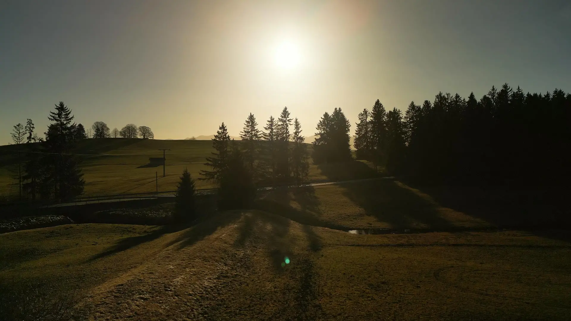 Morgensonne strahlt über ein Feld mit Bäumen am Hopfensee