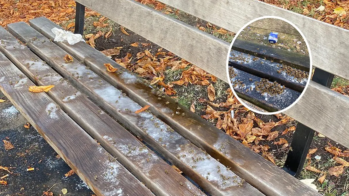 Unbekannte verstreuen Zucker auf Parkbänken in Kassel