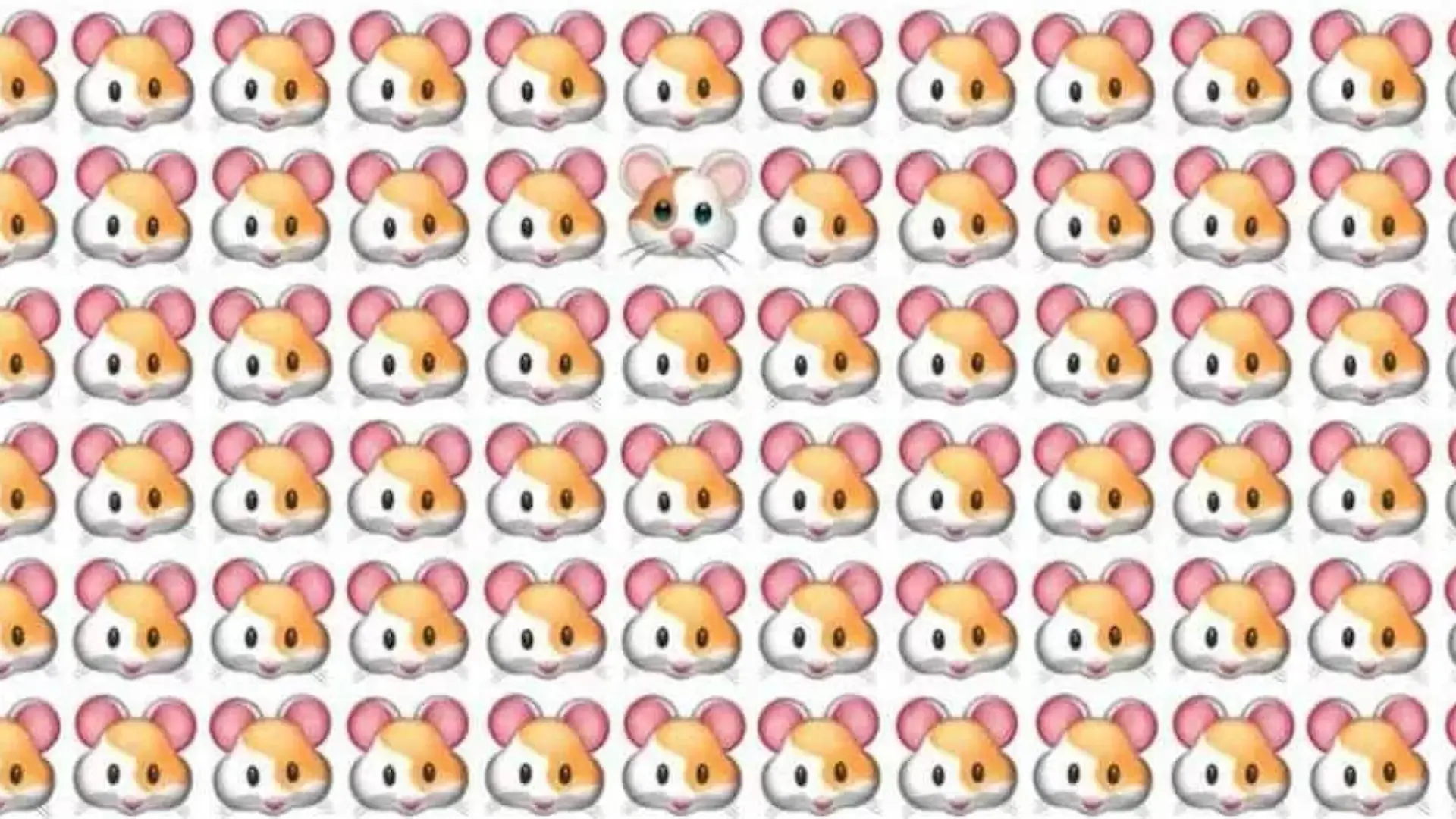 Mäuschen, mach mal Piep! Wer findet die Maus, die anders aussieht, auf diesem Suchbild?