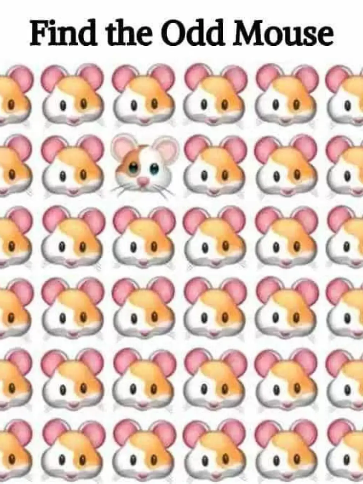 Mäuschen, mach mal Piep! Wer findet die Maus, die anders aussieht, auf diesem Suchbild?