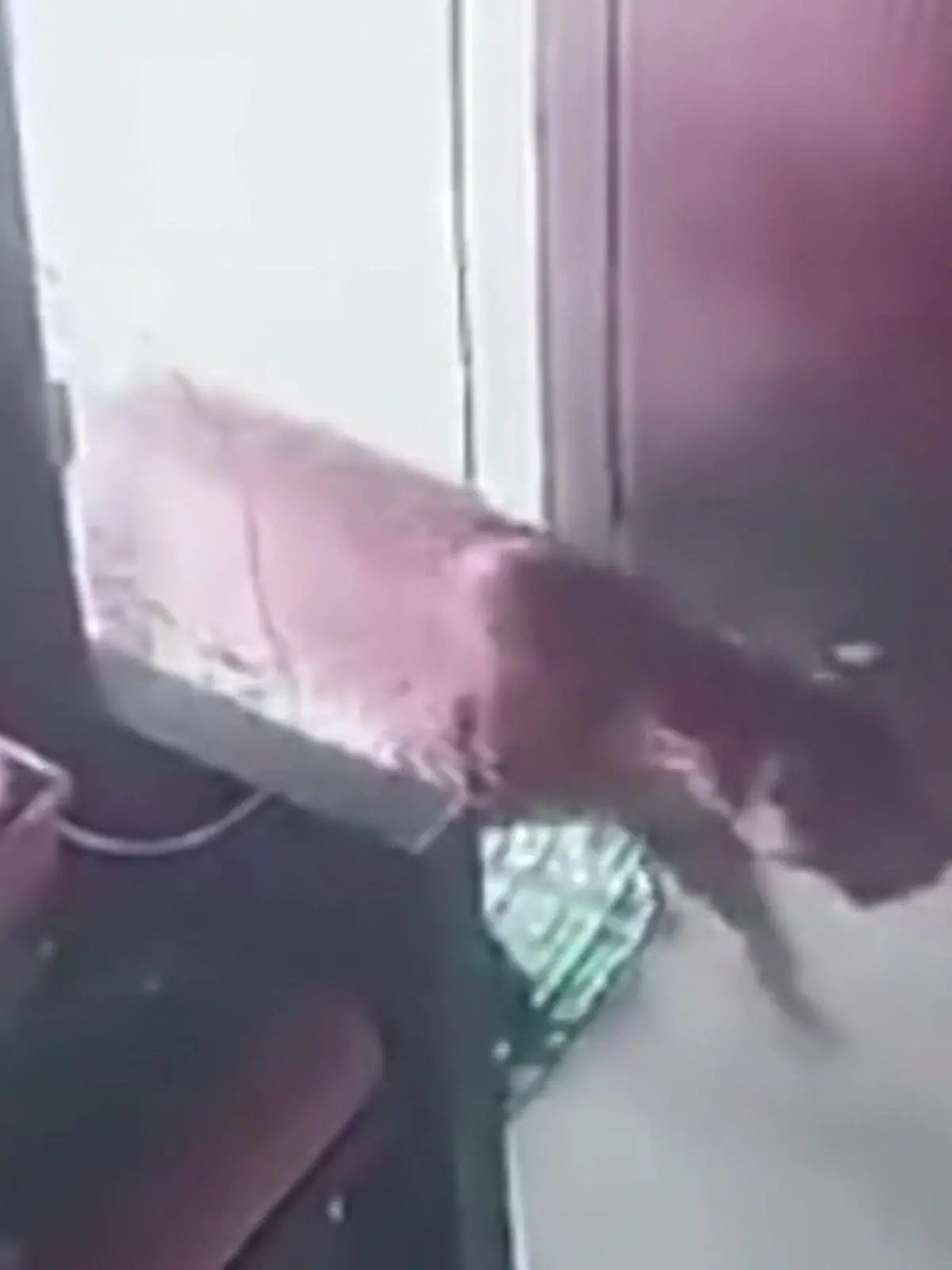 In Indien ist ein Leopard nur wenige Zentimeter von einem zwölf Jahre alten Jungen in ein Gebäude getapst. Was das Kind dann macht, ist nicht nur richtig clever, sondern auch ziemlich effektiv! Wie lässig er die gefährliche Situation löst, zeigen wir euch im Video.