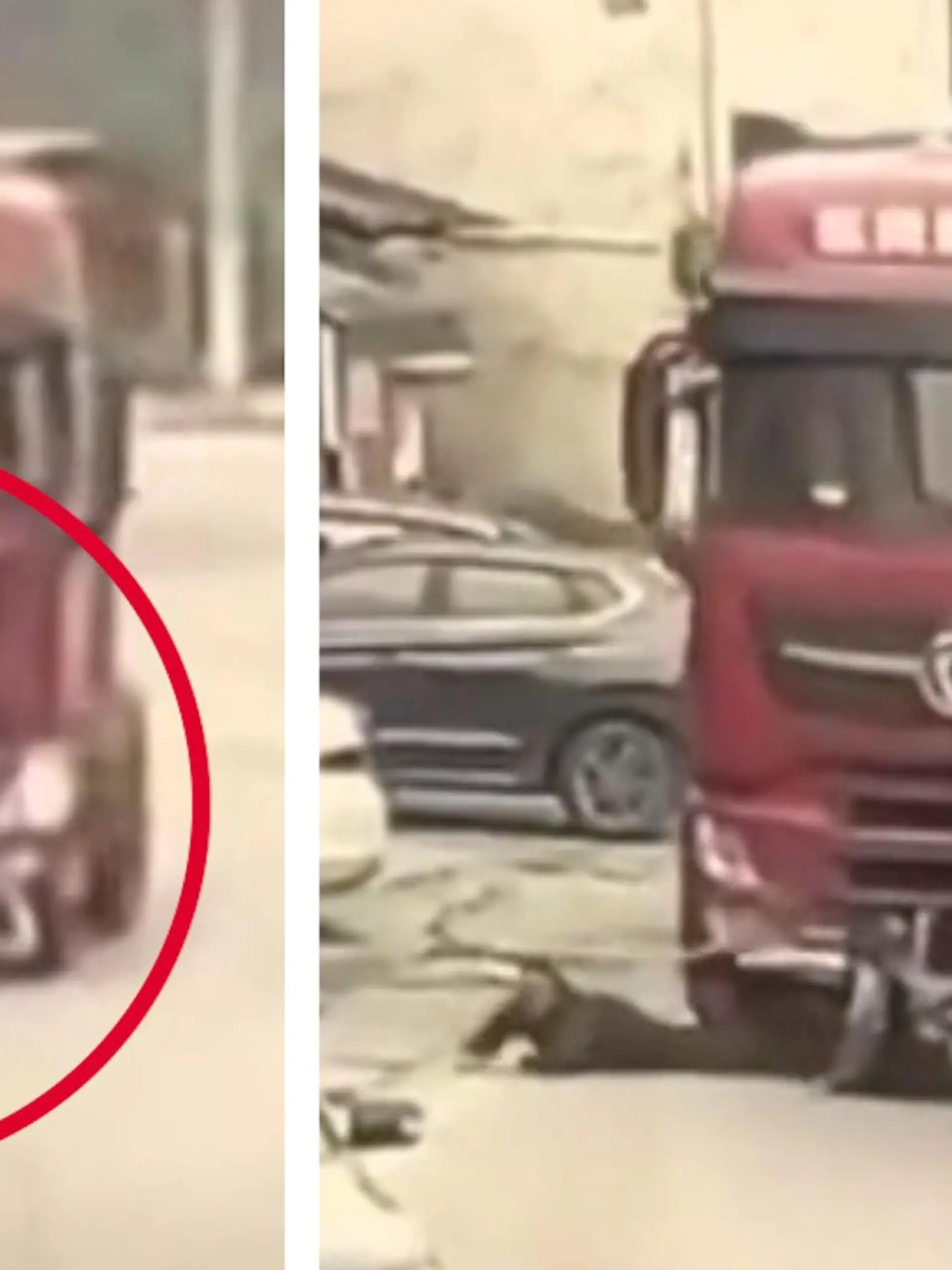 Ein Motorradfahrer aus China entgeht nur knapp dem Tod.  In einer Kurve wird er von einem unachtsamen Lkw-Fahrer einfach umgefahren und mitgeschleift. Die spektakulären Aufnahmen zeigen wir euch im Video.