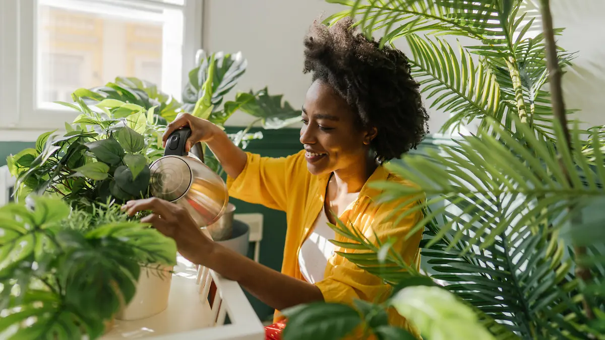 Photo of a young African American woman, taking care of her houseplants