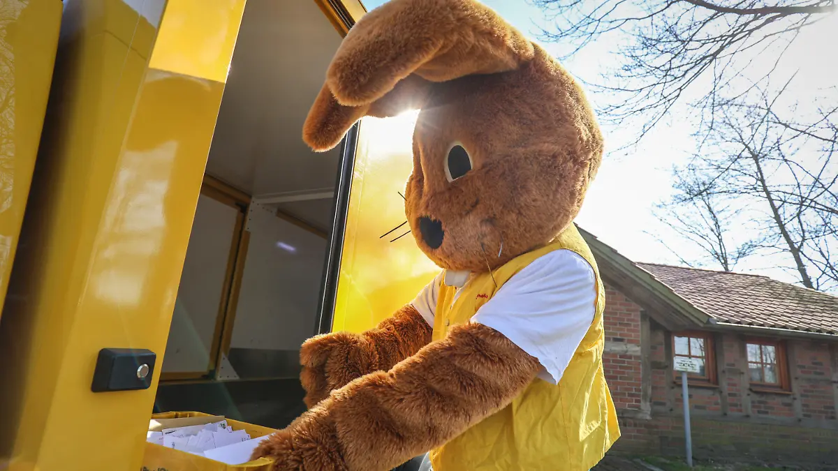 ARCHIV - 06.04.2023, Niedersachsen, Ostereistedt: Ein als Hanni Hase verkleideter Mann holt Briefe für das Osterpostamt in Ostereistedt ab. (zu dpa: «Mehr als 12 000 Briefe an den Osterhasen») Foto: Focke Strangmann/dpa +++ dpa-Bildfunk +++