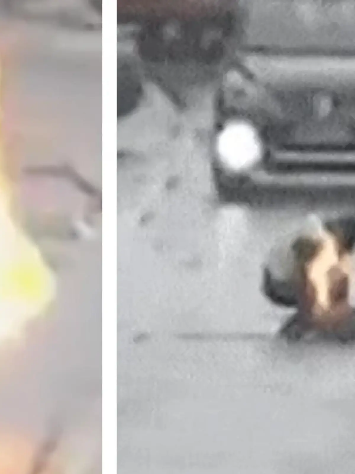 Als die Gasflasche einer Frau beim Kochen plötzlich in Brand gerät, versucht sie diese schnell loszuwerden. Doch als sie droh zu explodieren, schreitet ein tapferer Polizist ohne zu zögern ein. Wie er versucht das Feuer zu löschen, erfahrt ihr im Video.