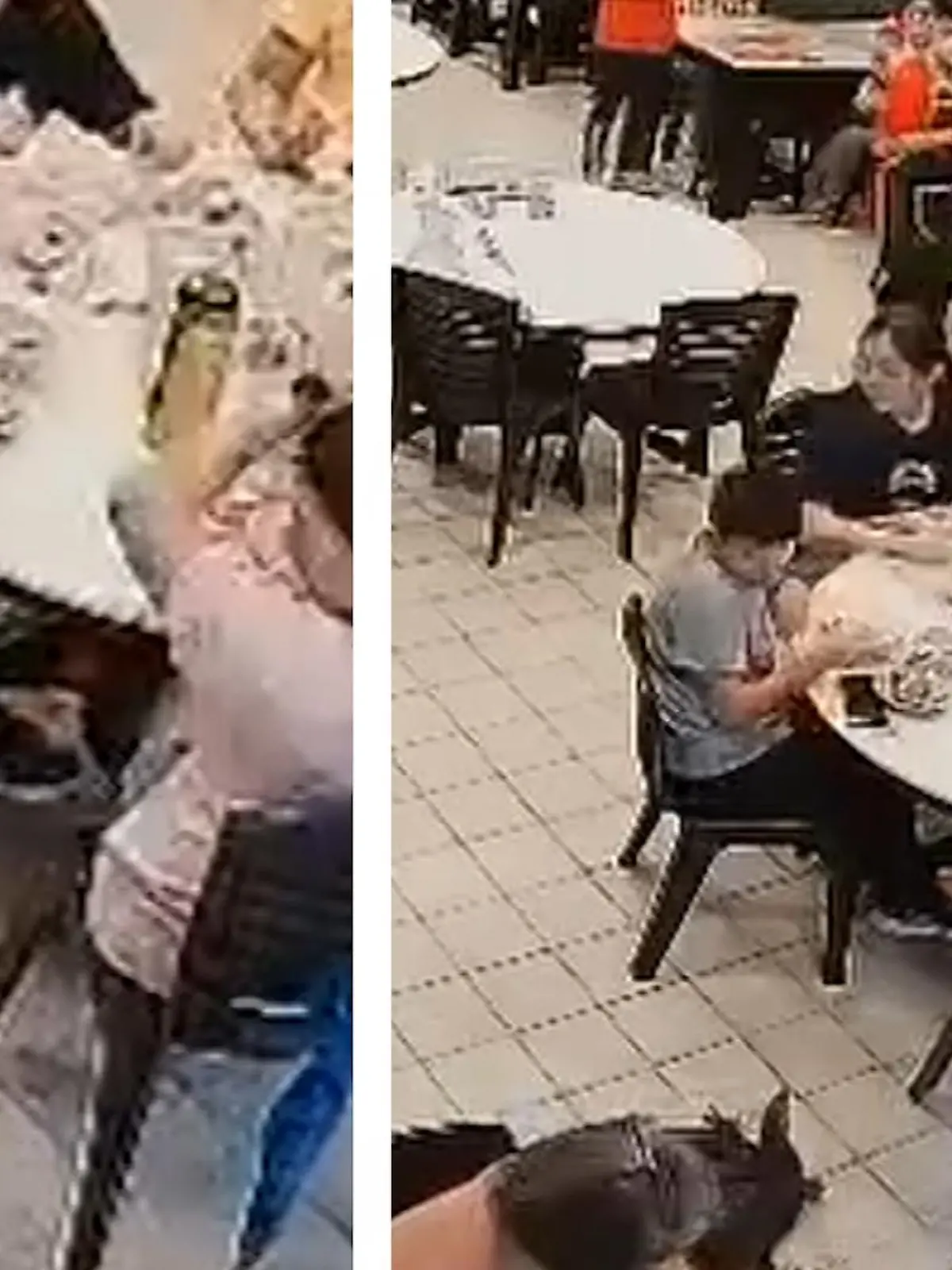 Die Gäste eines Nudelrestaurants wollen eigentlich nur gemütlich ihre erste Mahlzeit am Tag genießen. Doch die wird jäh unterbrochen, als zwei riesige Warane das Restaurant stürmen und vor ihren Augen Sex haben. Wie die Restaurantgäste reagieren, erfahrt ihr im Video.