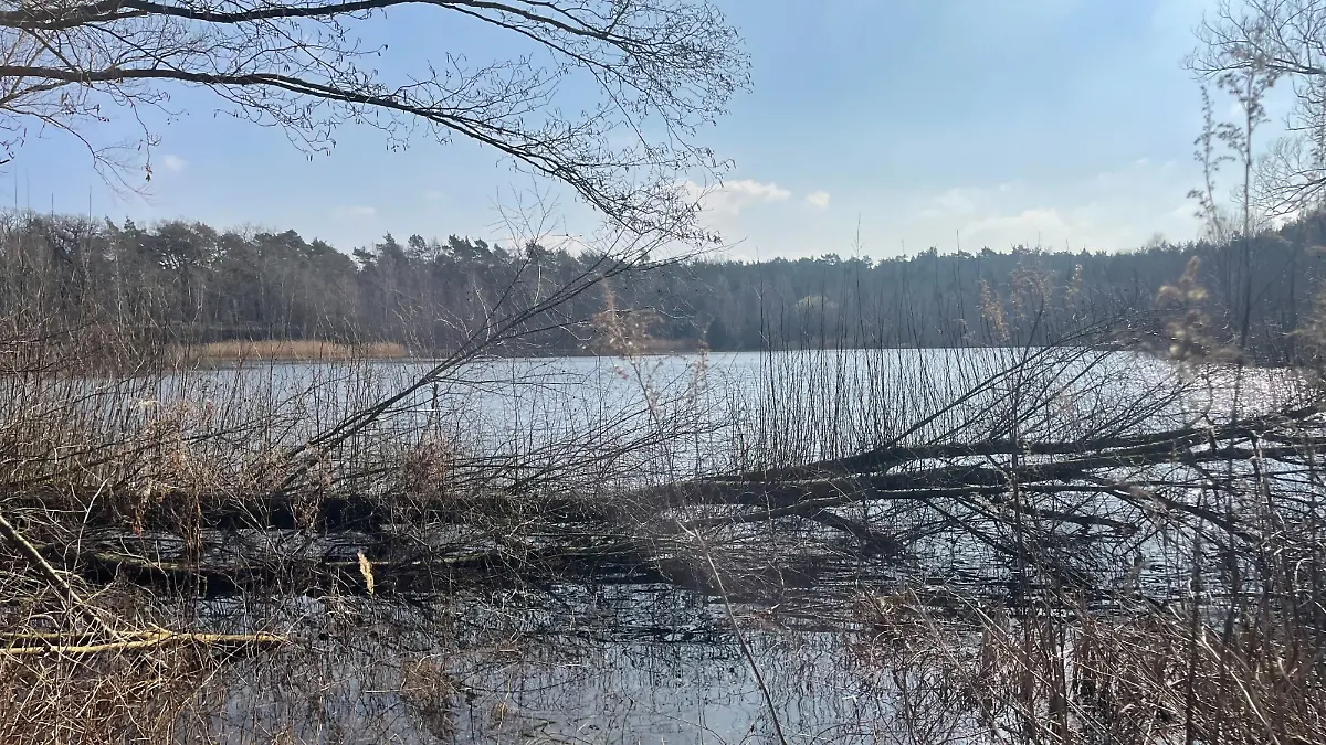 An diesem Baggersee in Buxtehude sollen die vier Angeklagten ihr Opfer getötet haben.