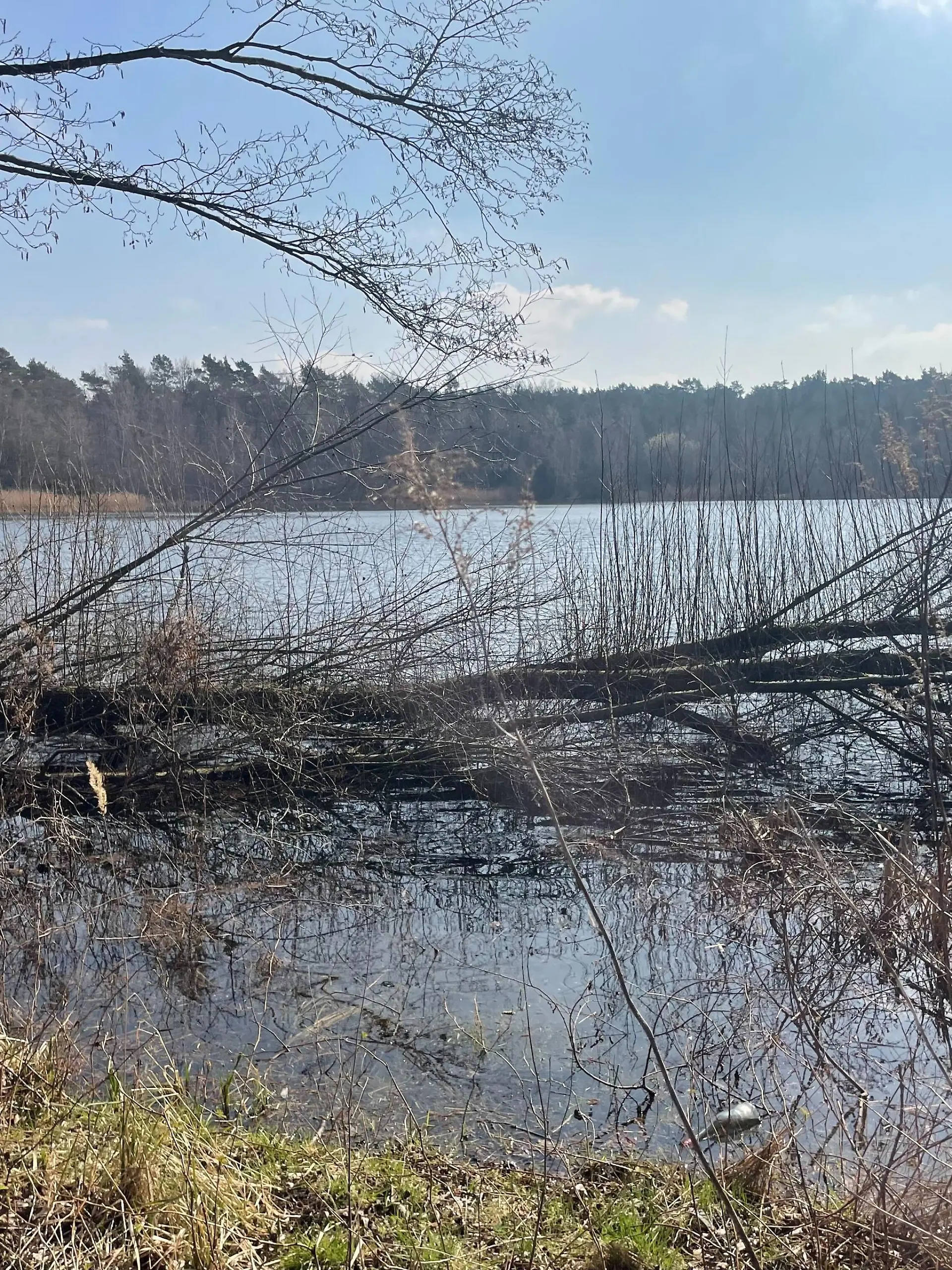 An diesem Baggersee in Buxtehude sollen die vier Angeklagten ihr Opfer getötet haben.