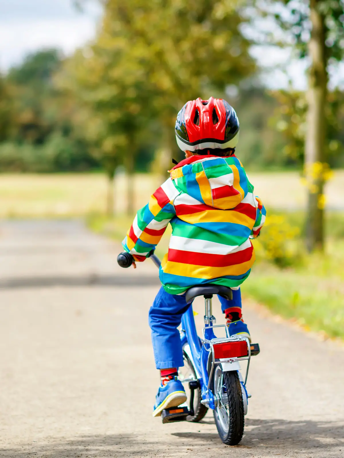 Little cute kid boy on bicycle on summer or autmn day. Healthy happy child having fun with cycling on bike. Active leisure for children. Safe helmet on boy's head. In colorful clothes.