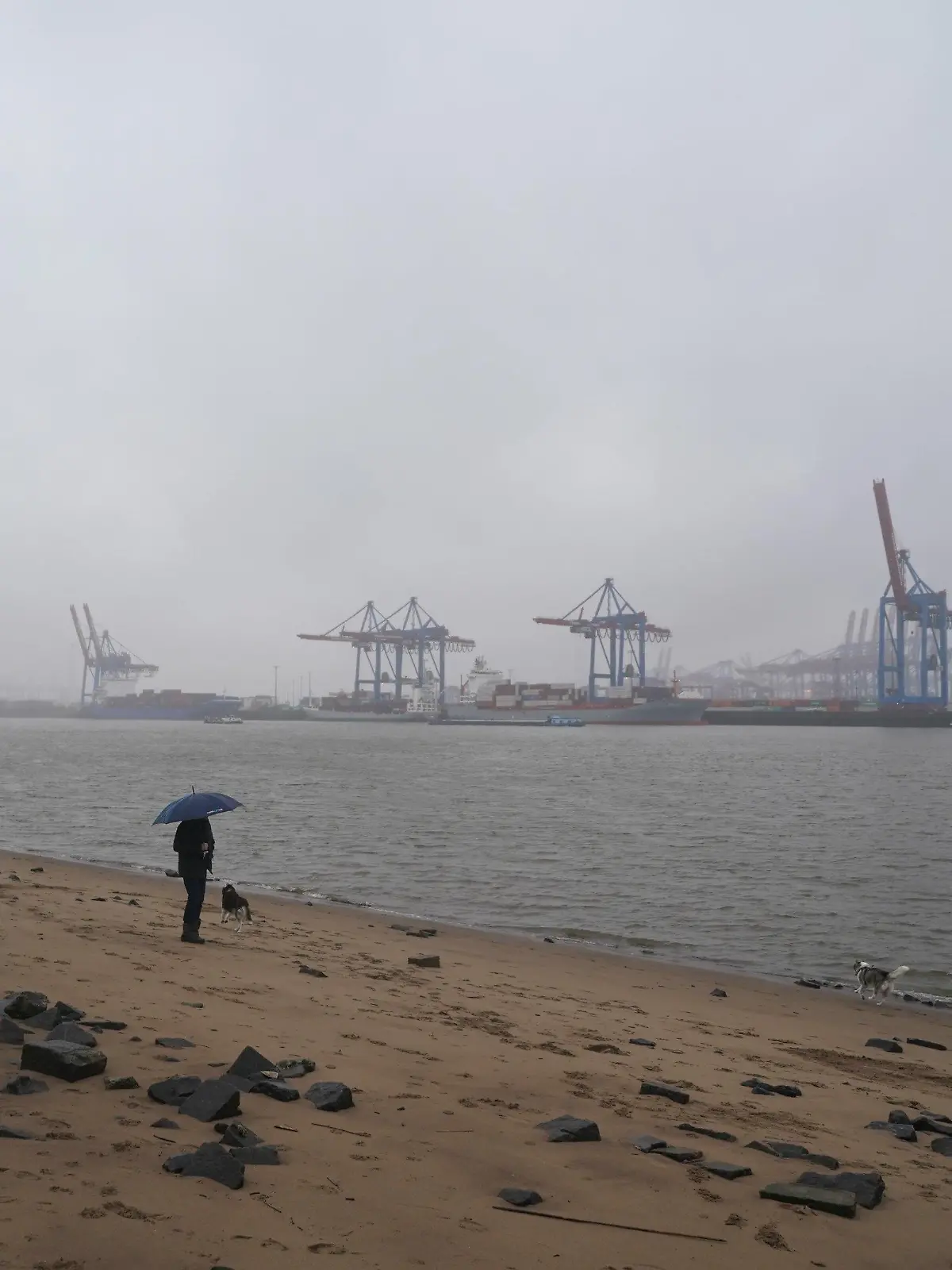 ARCHIV - 02.01.2024, Hamburg: Passanten gehen im strömenden Regen am Elbstrand in Ovelgönne spazieren. (zu dpa: «Ungemütlich und mild - DWD zieht Winter-Wetterbilanz für Hamburg») Foto: Marcus Brandt/dpa +++ dpa-Bildfunk +++