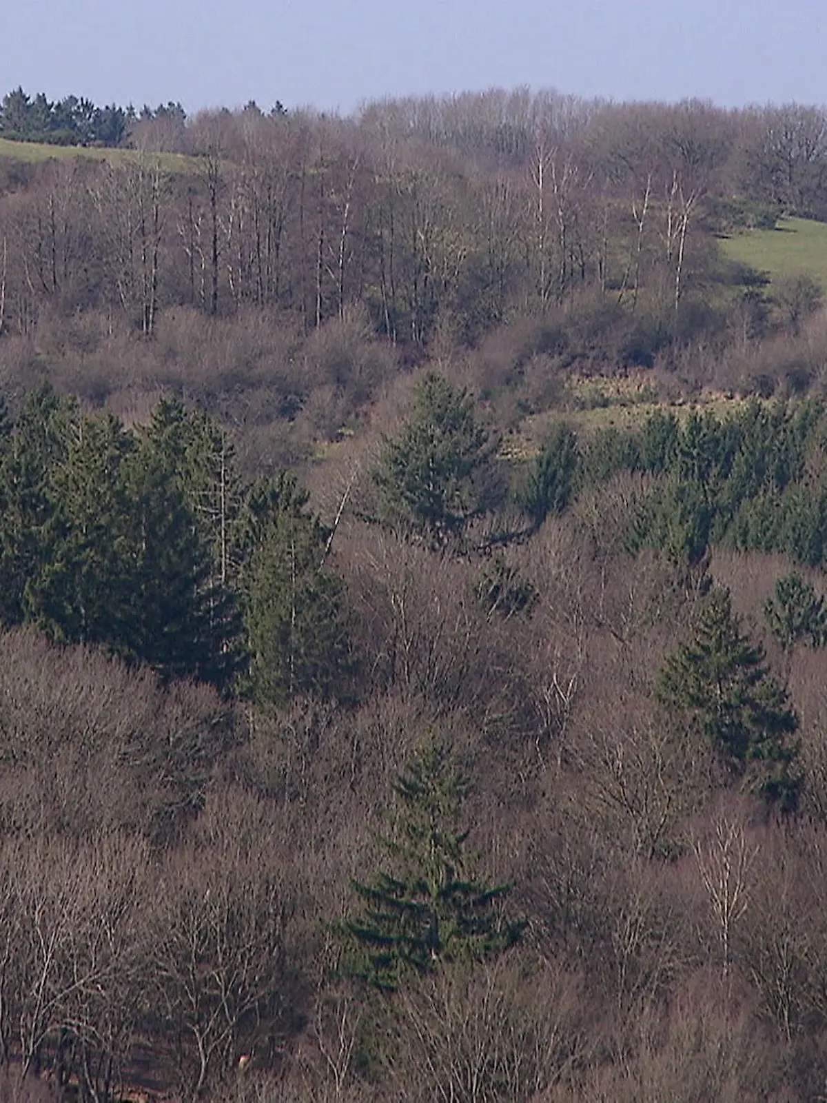 Bild zu: "Nationalpark Eifel"