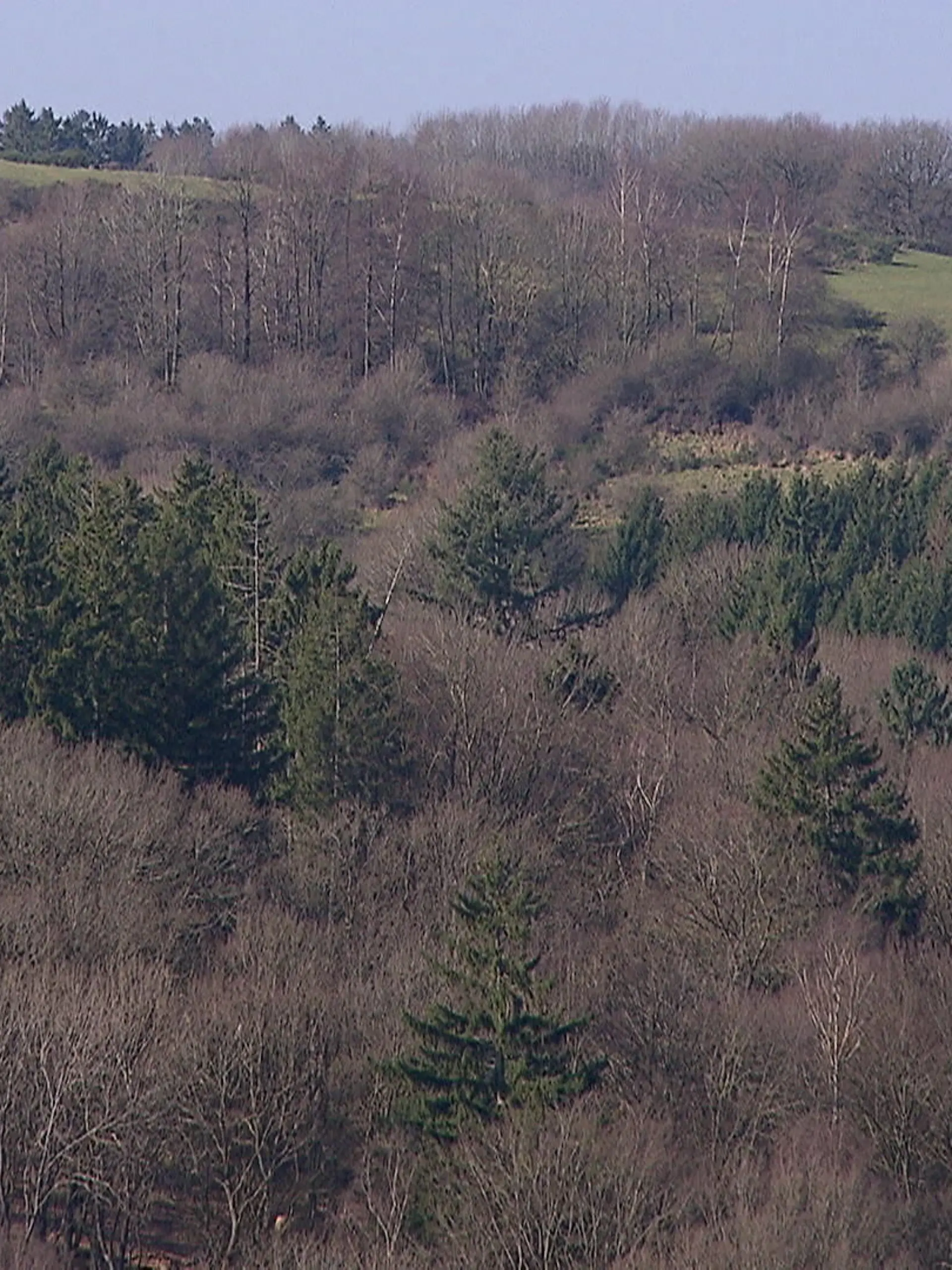 Bild zu: "Nationalpark Eifel"