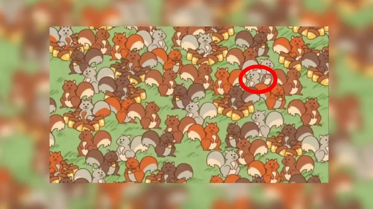 Auflösung Suchbild Eichhörnchen