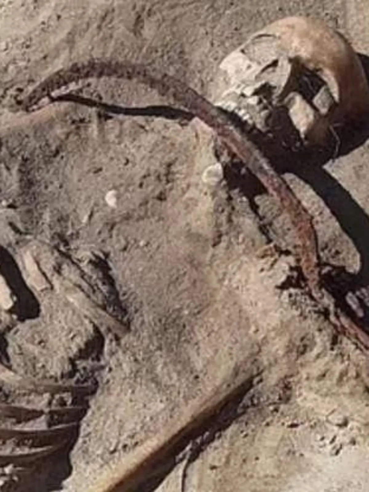 Polnische Archäologen fanden das Grab eines weiblichen Vampirs.