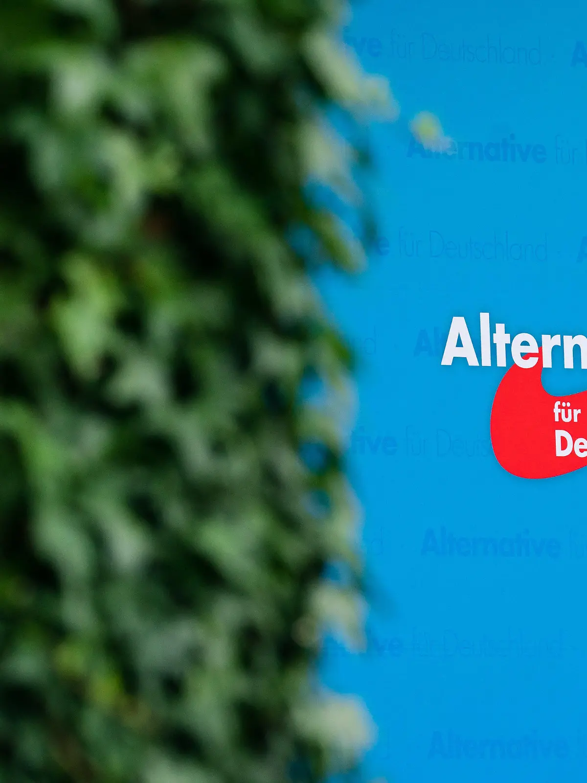 ARCHIV - 05.09.2022, Bayern, Abensberg: Ein Plakat mit dem Logo der Partei Alternative für Deutschland (AfD) ist beim Politischen Frühschoppen auf dem Volksfest Gillamoos im Schlossgarten angebracht. (zu dpa «Bayerns Verfassungsschutz beobachtet AfD - Abgeordnete ausgenommen») Foto: Nicolas Armer/dpa +++ dpa-Bildfunk +++