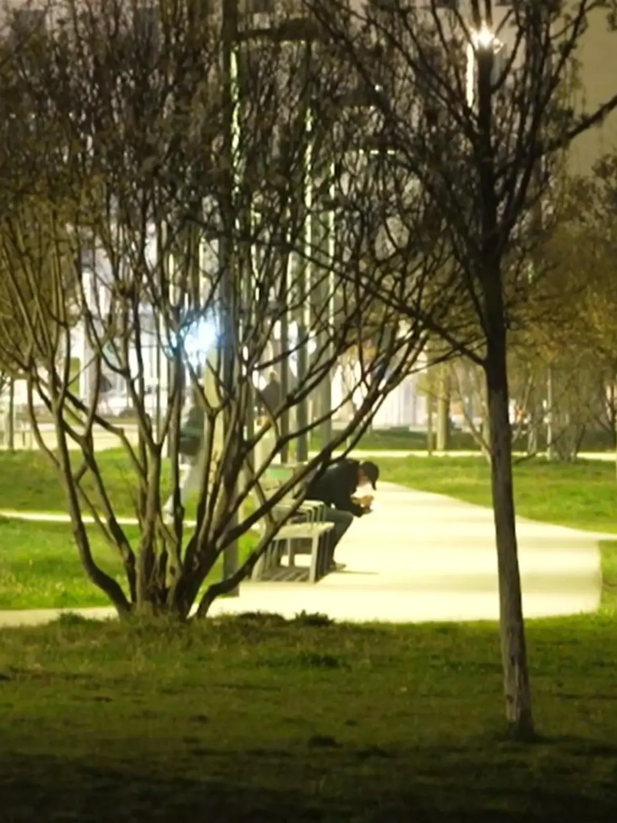 Ein Park bei Dunkelheit.