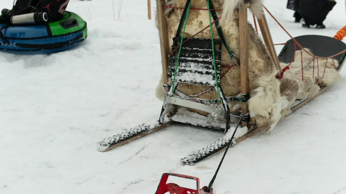 canine  nature  dog  husky  musher  white  siberian  winter  sled  alaska  cold  sleigh  snow xkwx alaska,  husky,  dog,  sled,  siberian,  sleigh,  snow,  canine,  musher,  cold,  nature,  white,  team,  teamwork,  competition,  sledge,  mushing,  race,  ice,  travel,  animal,  speed,  adventure,  fast,  harness,  action,  sport,  arctic,  north,  lying,  wintertime,  backgrounds,  red,  landscape,  iditarod,  dogs,  mountain,  nordic,  huskys,  tourism,  breed,  dogsledding,  mammal,  outdoors,  running,  drive,  motion,  rest,  woman