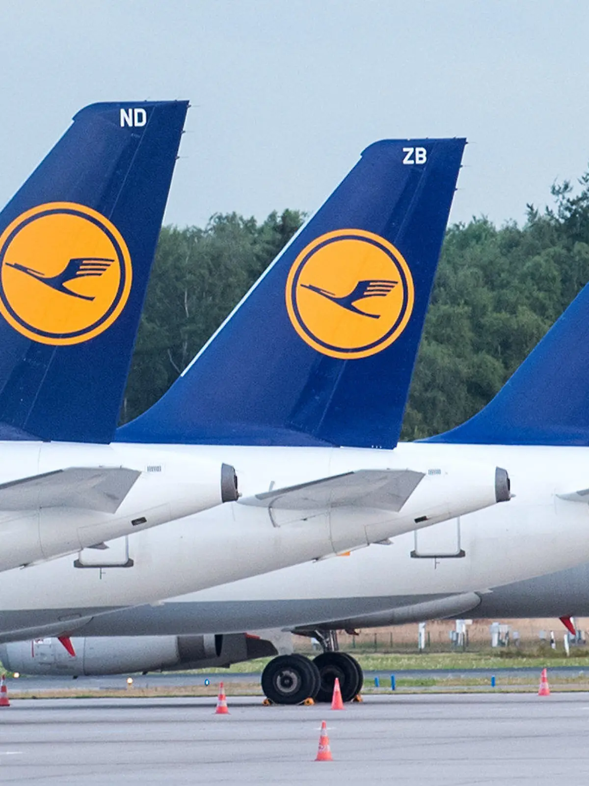 ARCHIV - 27.07.2022, Hamburg: Flugzeuge der Lufthansa stehen auf dem Gelände des Flughafens. Trotz aller Streiks fliegt die Lufthansa gerade gute Gewinne ein. Das wird auch noch länger so bleiben, verspricht Konzernchef Spohr. Aber die Geschäfte florieren nicht überall. (zu dpa «Lufthansa will in der Krise außerhalb Deutschlands wachsen») Foto: Daniel Bockwoldt/dpa +++ dpa-Bildfunk +++