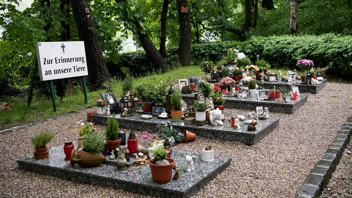 ARCHIV - 24.05.2016, Bayern, München: Sammelgräber für Haustiere sind auf dem Gelände des Tierkrematoriums Tiertrauer zu sehen. Etwa 10 000 Tiere werden jährlich im Krematorium Tiertrauer eingeäschert. (zu dpa «Nachfrage nach Tierbestattungen wächst kontinuierlich») Foto: Sven Hoppe/dpa +++ dpa-Bildfunk +++