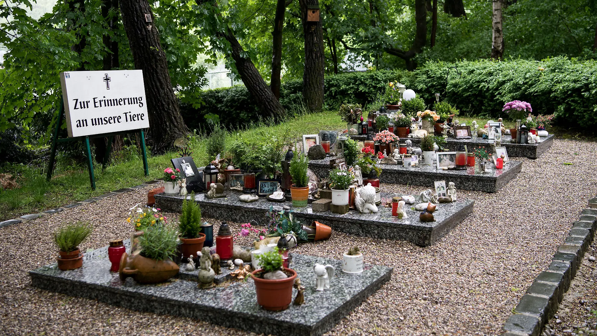 ARCHIV - 24.05.2016, Bayern, München: Sammelgräber für Haustiere sind auf dem Gelände des Tierkrematoriums Tiertrauer zu sehen. Etwa 10 000 Tiere werden jährlich im Krematorium Tiertrauer eingeäschert. (zu dpa «Nachfrage nach Tierbestattungen wächst kontinuierlich») Foto: Sven Hoppe/dpa +++ dpa-Bildfunk +++