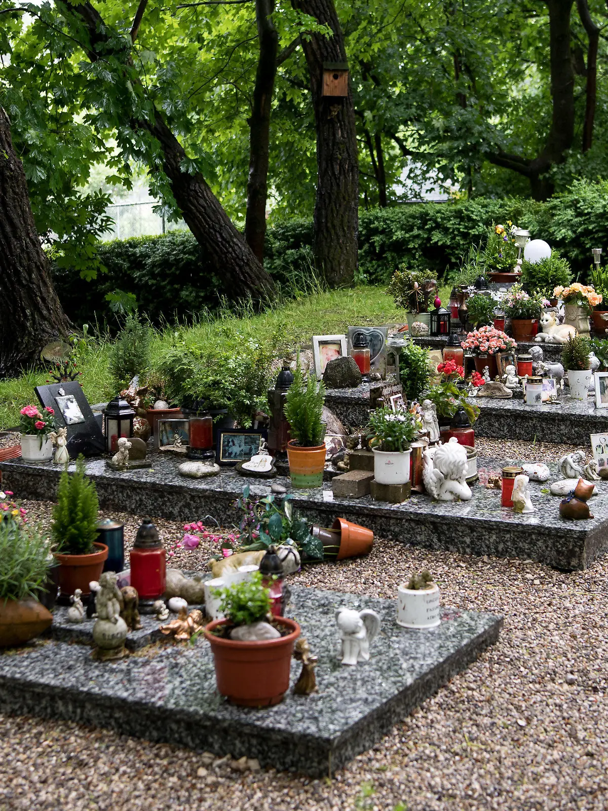 ARCHIV - 24.05.2016, Bayern, München: Sammelgräber für Haustiere sind auf dem Gelände des Tierkrematoriums Tiertrauer zu sehen. Etwa 10 000 Tiere werden jährlich im Krematorium Tiertrauer eingeäschert. (zu dpa «Nachfrage nach Tierbestattungen wächst kontinuierlich») Foto: Sven Hoppe/dpa +++ dpa-Bildfunk +++